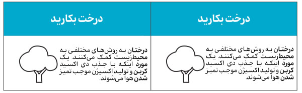 فعالیت سبز باش