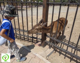 کودکان در عصر فراواقعیت‌ها