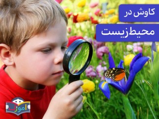 کاوش در طبیعت با کودکان